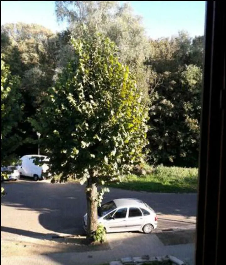 Homestay Chez Mimi - Chambre Vue Parc Brussels Belgium